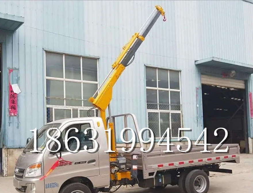 洛扎县车载吊机旋转小型搬运搬运小型电动葫芦车载吊机